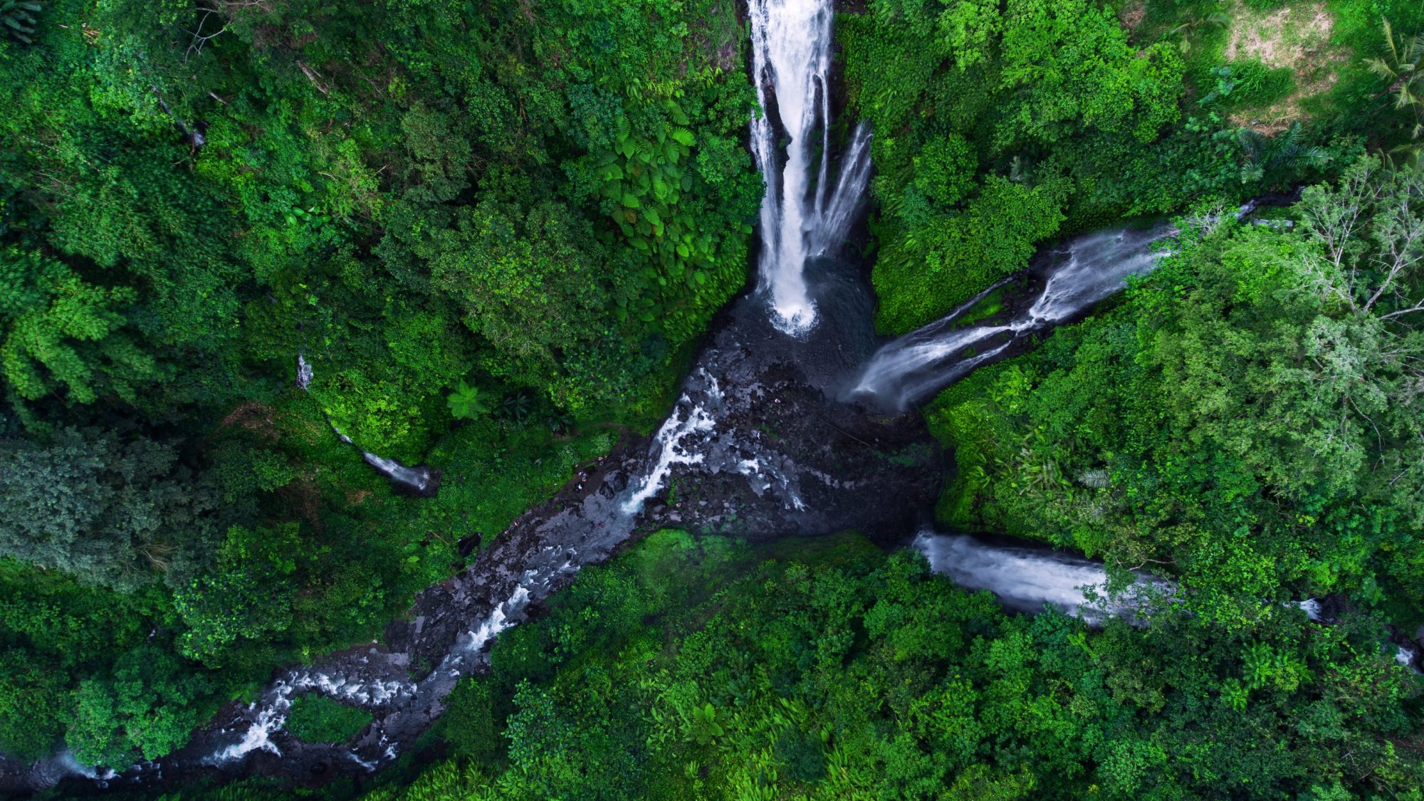 Cascade se ramifiant en plusieurs bras dans une forêt vue du ciel